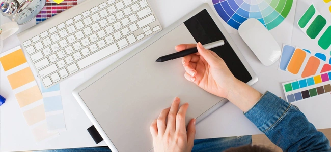Software Customization