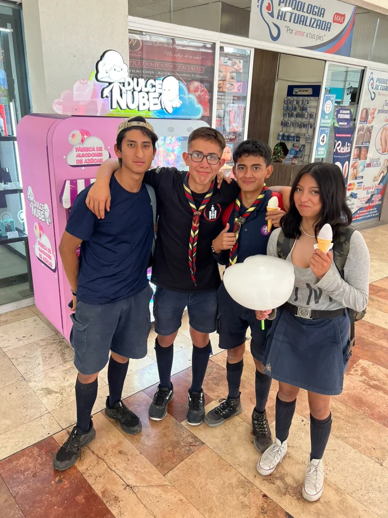 Cost Considerations, Financing, and ROI Analysis